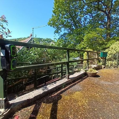 Treetop Cottage At Countisbury Lodge Лінмут Екстер'єр фото